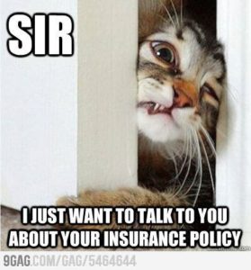 Sir I just want to talk to you about your insurance policy.
