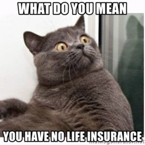 What do you mean you have no life insurance