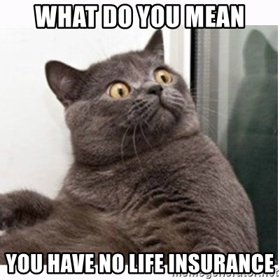 Insurance Memes: 94 Funniest Memes Ever Created!
